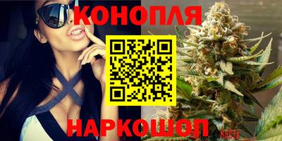 мдпв Партизанск