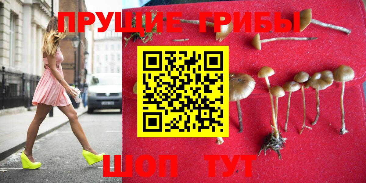 Городец  Псилоцибиновые грибы Psilocybine cubensis  Вход с VPN  Галлюциногенные грибы прущие грибы 