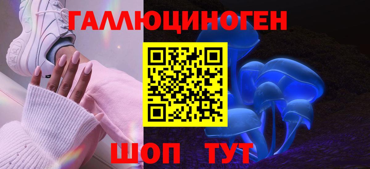 Галлюциногенные грибы Psilocybe Городец